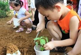 5 bài học về bảo vệ môi trường cần dạy trẻ ngay